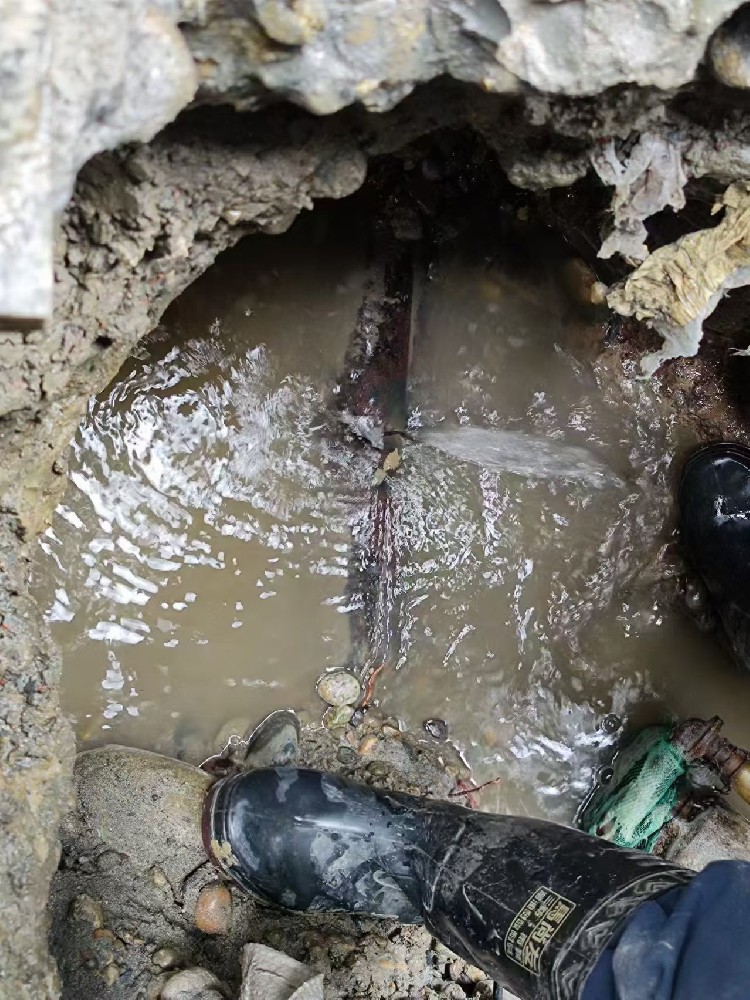 德城区本地服务：小区水管漏水检测维修